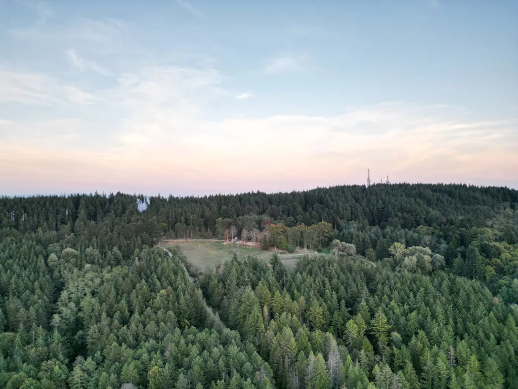 vue drone sur la forêt qui entoure le logement