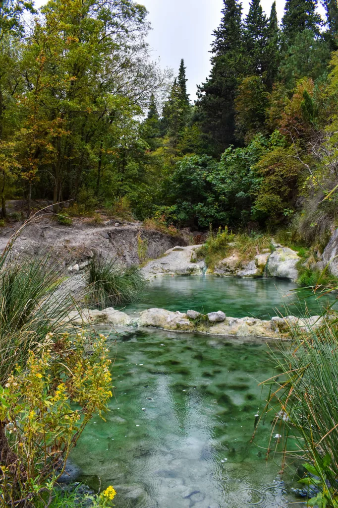 rivière à l'eau transparente bleu vert dans une forêt 